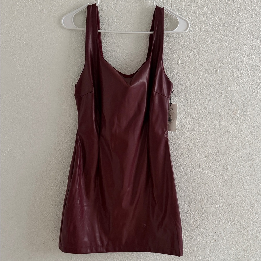 Iris Burgundy Mini Dress